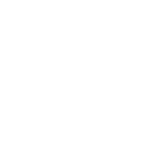 Noël Paris
