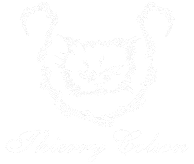 Thierry Colson